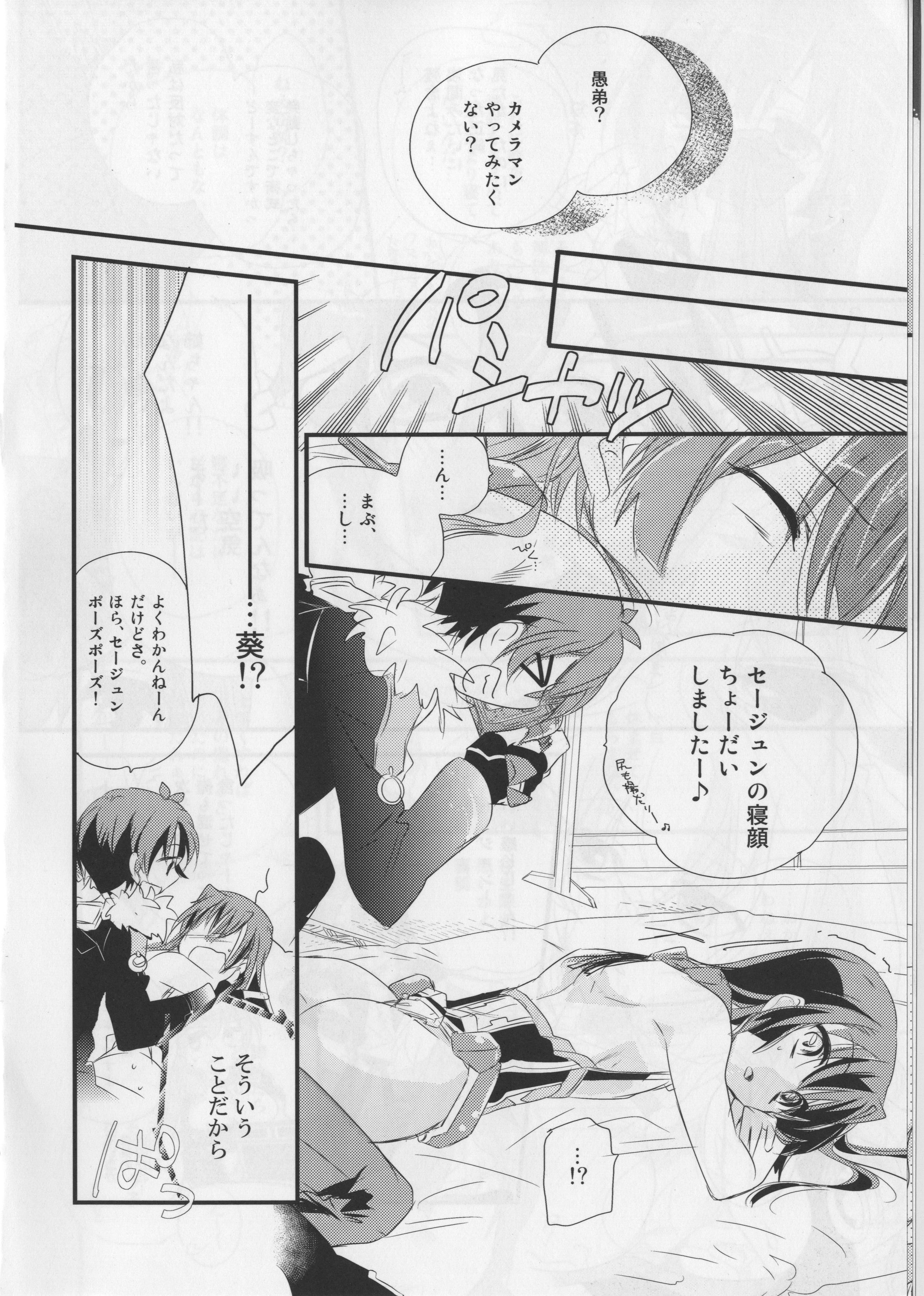 (COMIC1☆6) [ABLISS (迷)] そんなセージュン (境界線上のホライゾン)