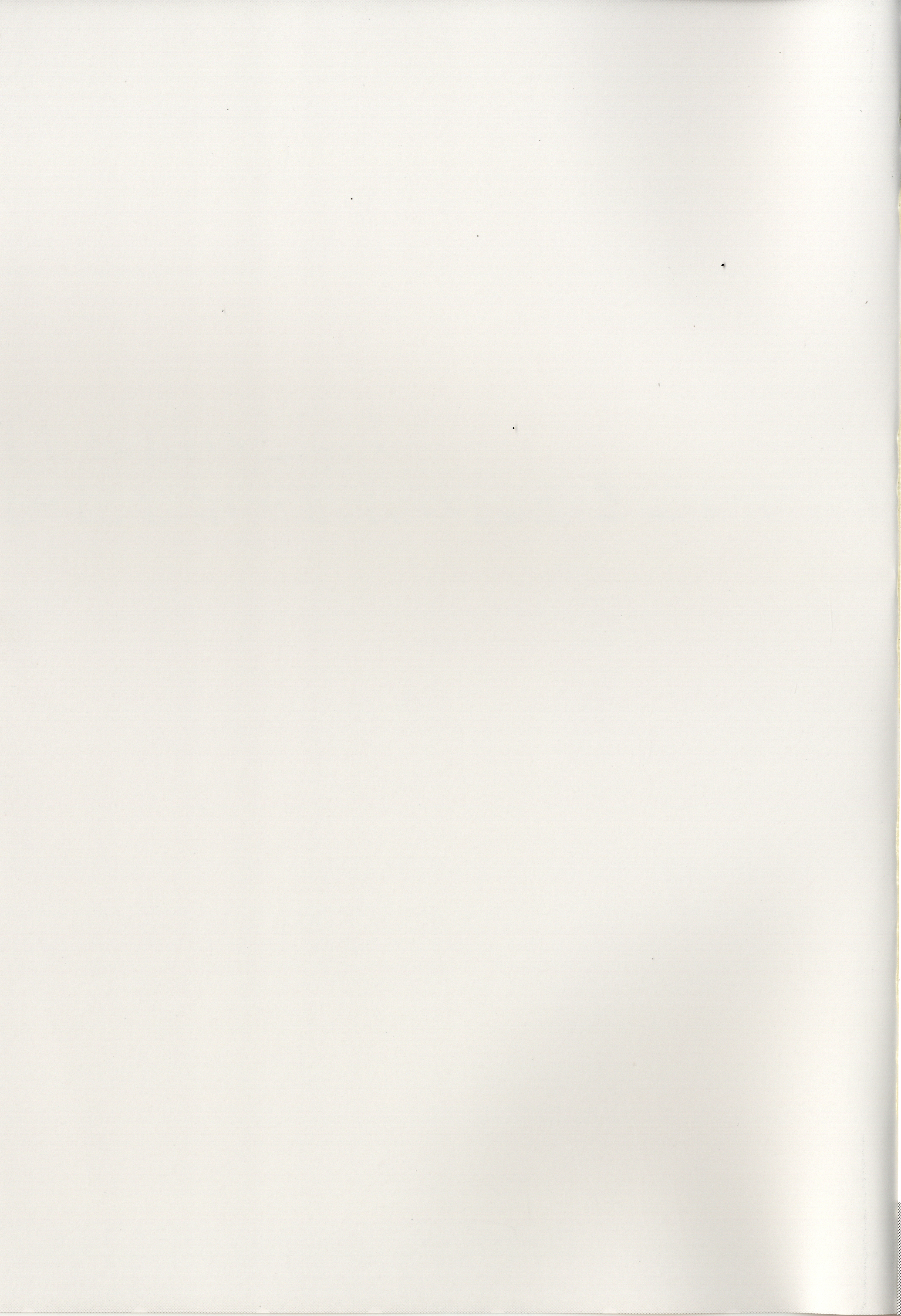 (第4回近しき親交のための同人誌好事会) [ABLISS (迷)] 真逆の清純者 (境界線上のホライゾン)