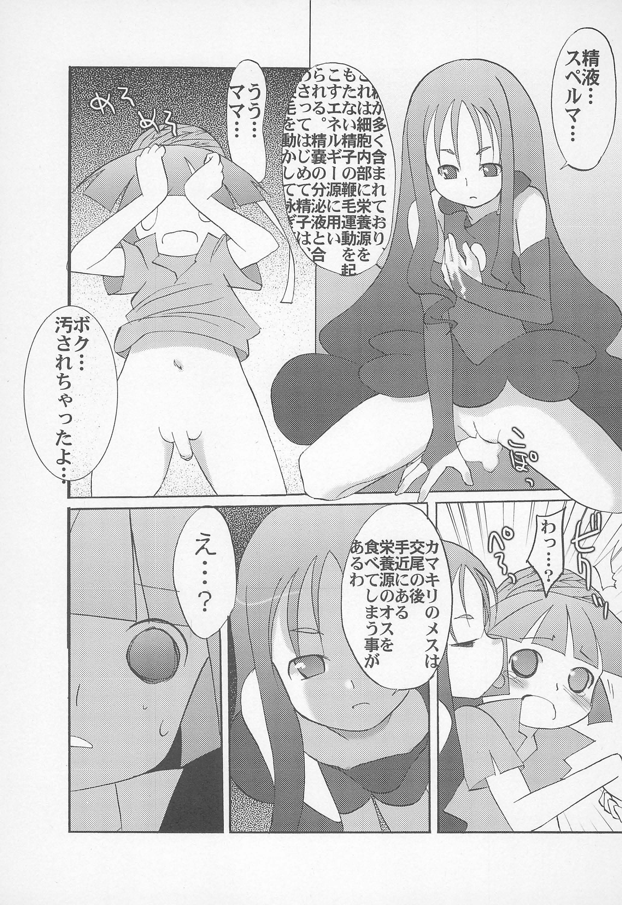 (ぷにケット11) [ぺたぺただん。 (ででん♪)] フタヒメオルタナティヴ (ふしぎ星のふたごひめ)