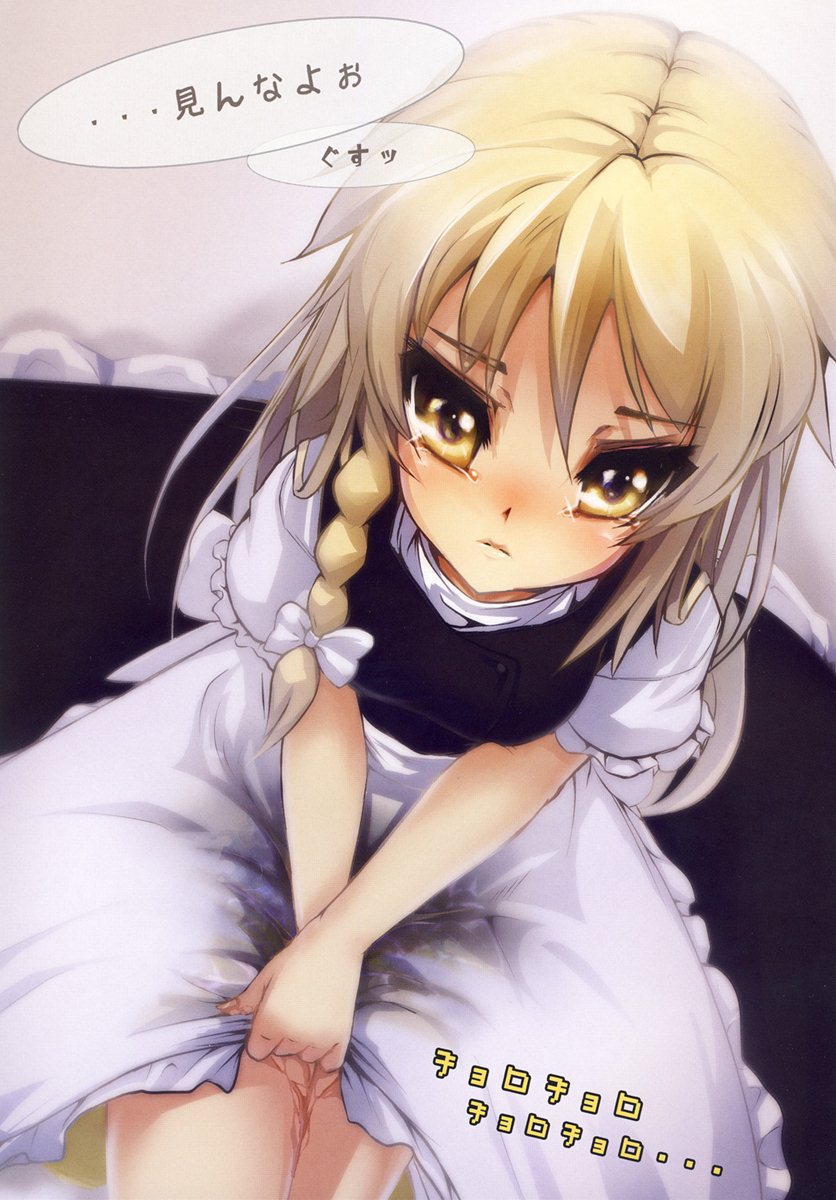 (C79) [街角麻婆豆 (よろず)] 東方の尿の合同です。 ～二度目の失敗～ (東方Project)