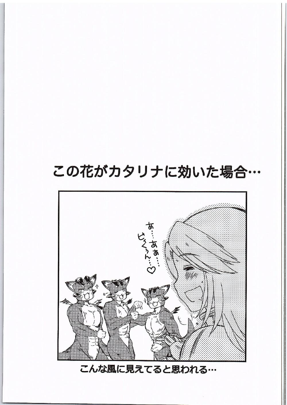(サンクリ2016 Winter) [HIGH RISK REVOLUTION (あいざわひろし)] 真夏の夜の悪夢 (グランブルーファンタジー)