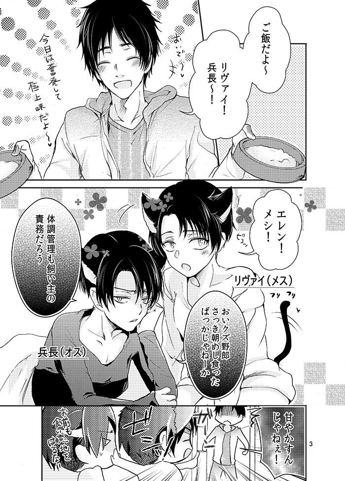 (SUPER24) [××家 (神崎柚)] 双子猫拾いました (進撃の巨人)