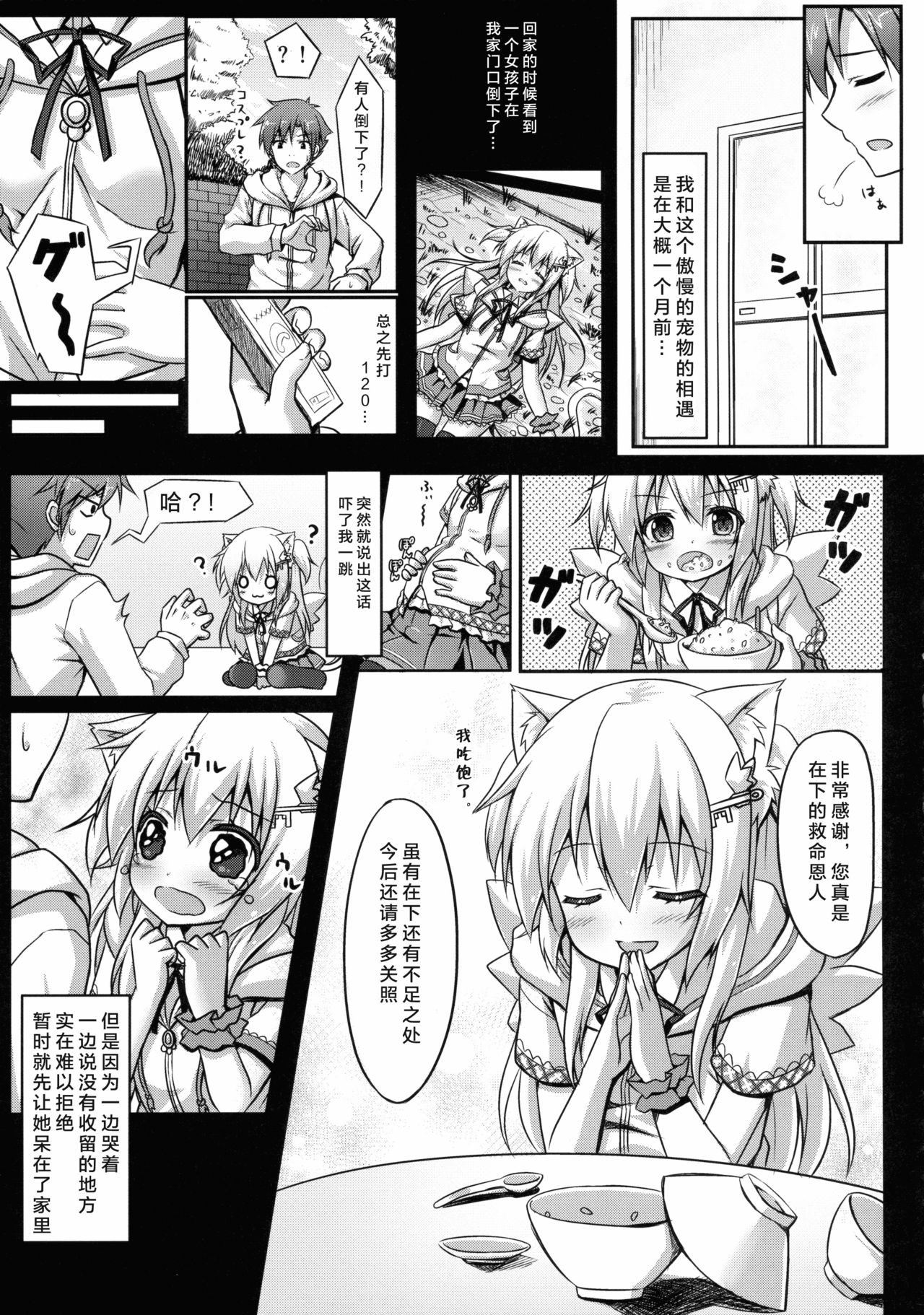 (C85) [あにまるハーブ (夜ノみつき)] ウチのペット事情 [中国翻訳]