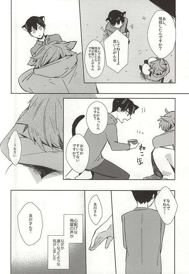 (RTS!!5) [少年H (ゆうき)] 猫になった及川さん (ハイキュー!!)