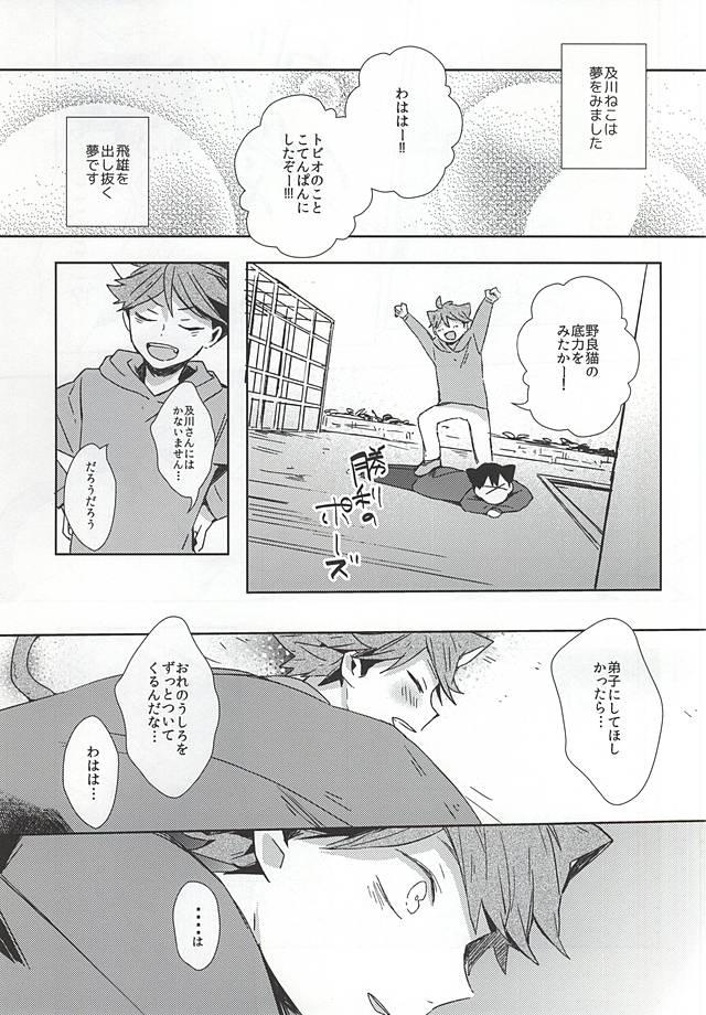 (RTS!!5) [少年H (ゆうき)] 猫になった及川さん (ハイキュー!!)