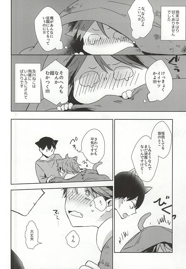 (RTS!!5) [少年H (ゆうき)] 猫になった及川さん (ハイキュー!!)