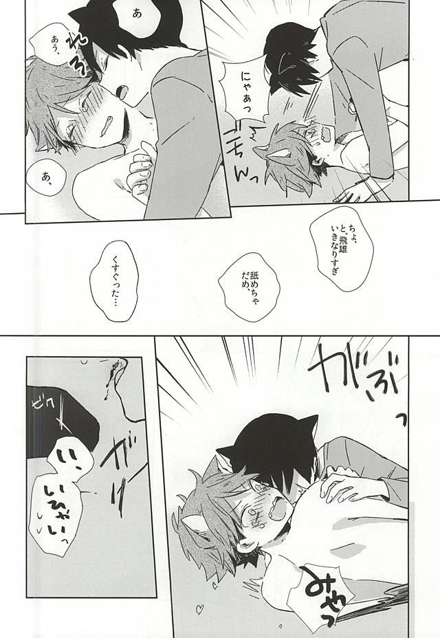 (RTS!!5) [少年H (ゆうき)] 猫になった及川さん (ハイキュー!!)