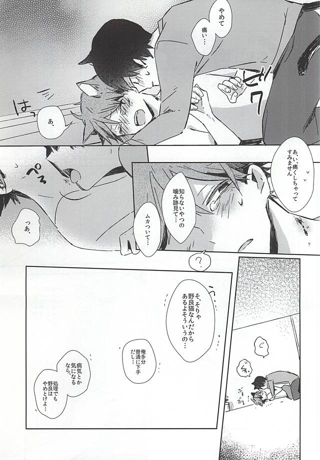 (RTS!!5) [少年H (ゆうき)] 猫になった及川さん (ハイキュー!!)