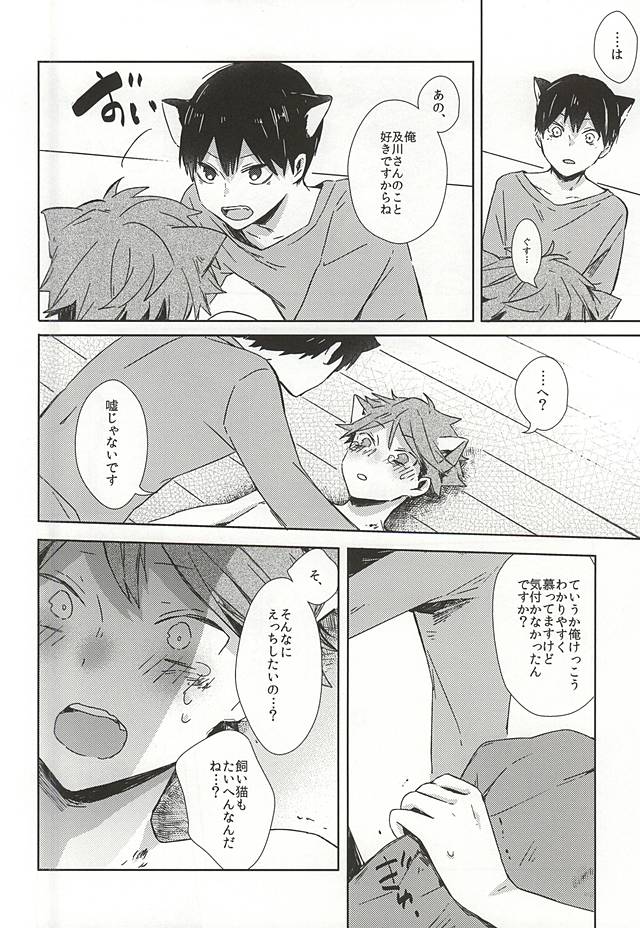 (RTS!!5) [少年H (ゆうき)] 猫になった及川さん (ハイキュー!!)