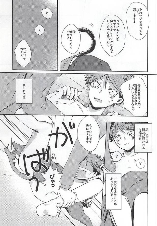 (RTS!!5) [少年H (ゆうき)] 猫になった及川さん (ハイキュー!!)