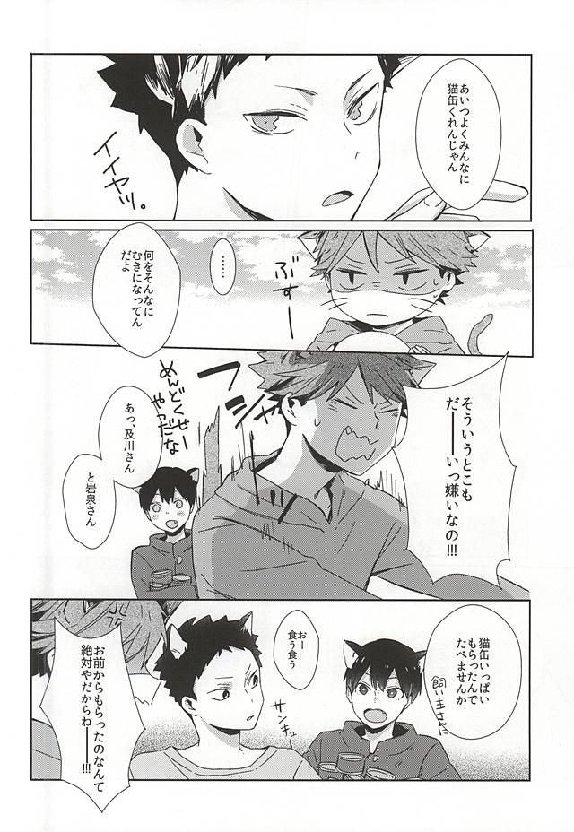 (RTS!!5) [少年H (ゆうき)] 猫になった及川さん (ハイキュー!!)