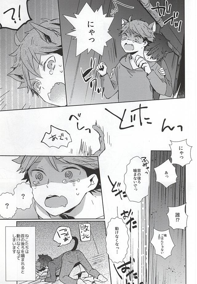 (RTS!!5) [少年H (ゆうき)] 猫になった及川さん (ハイキュー!!)