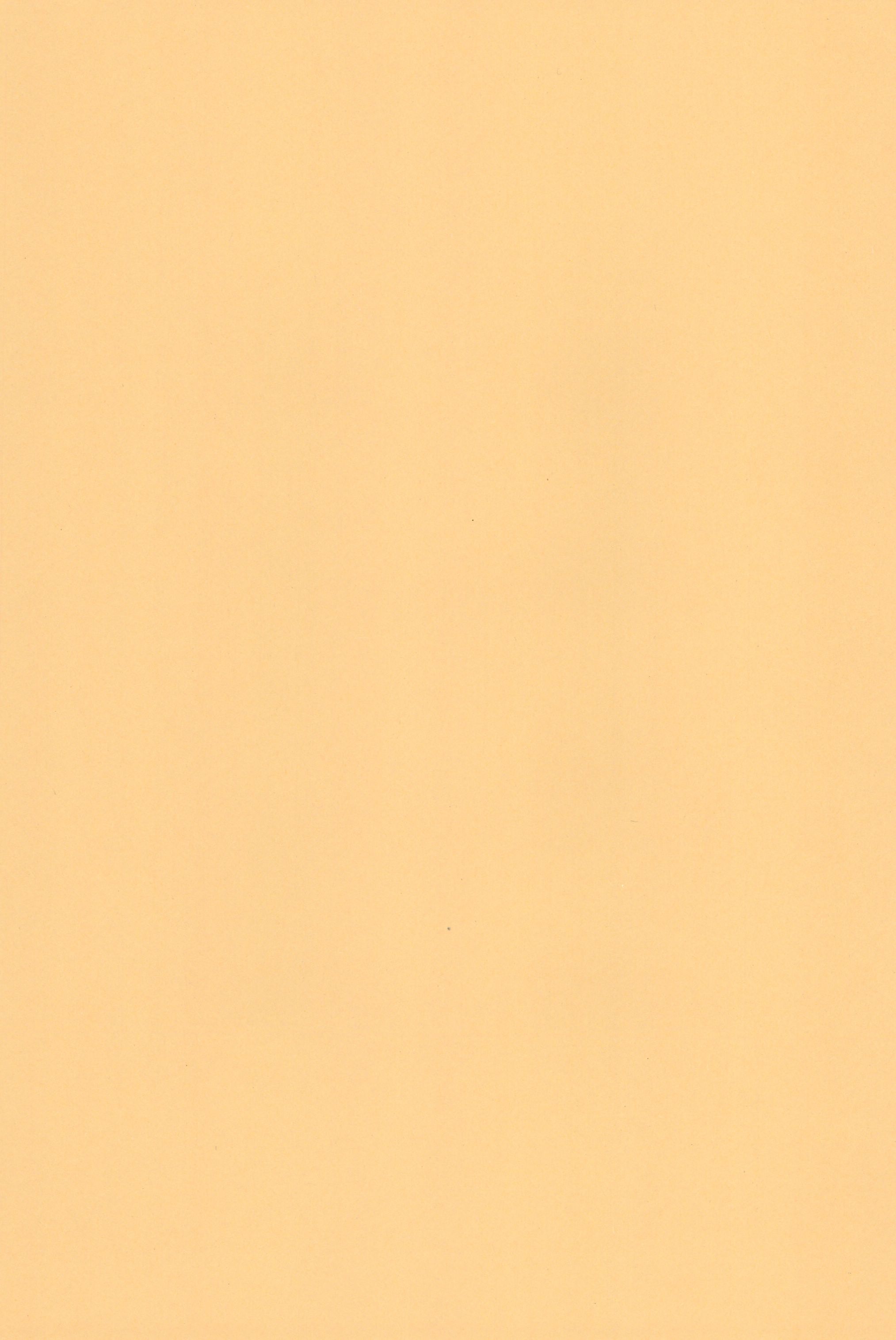 (C74) [あしの家 (たりる。)] 貧乳娘19 (ベルセルク)