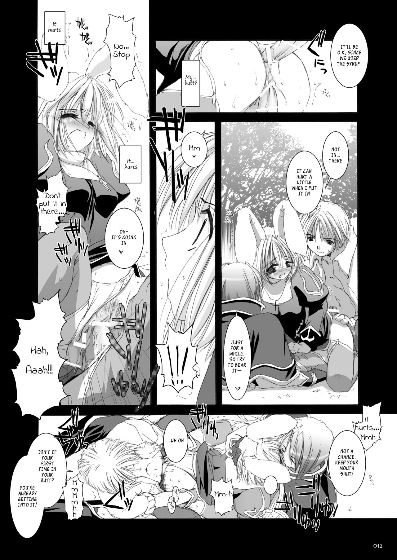 [Digital Lover (なかじまゆか)] Rough Sketch 11 (DL-RO総集編02) (ラグナロクオンライン) [英訳] [DL版]