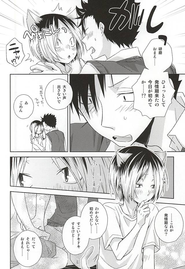 (RTS!!5) [MOBRIS (トモハル)] 猫男一族の交尾レポート (ハイキュー!!)