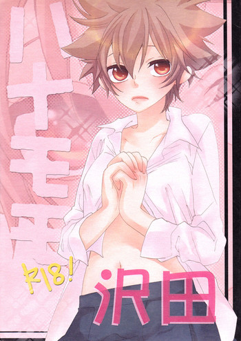 (全国大会R1) [スターチス (百合原明)] ハナモモ -沢田- (家庭教師ヒットマンREBORN!) [英訳]