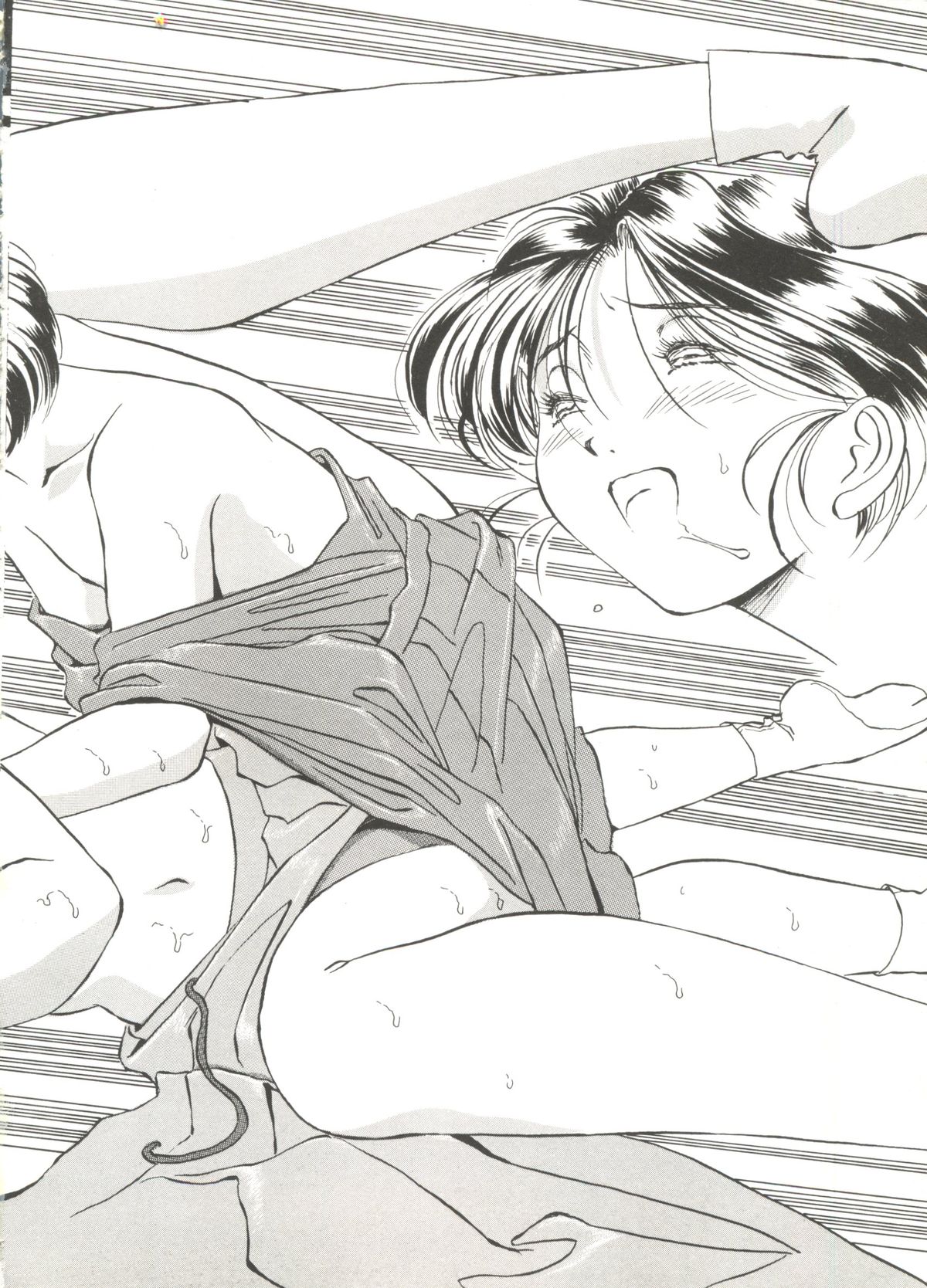 [アンソロジー] アニパロ美姫3 (よろず)