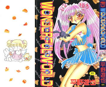 [平野遊也] わんだふるわーるど