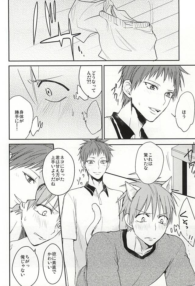 (DC RETURNS 7) [マルチ電脳◎ (立間ちま)] もっときかせて? (黒子のバスケ)