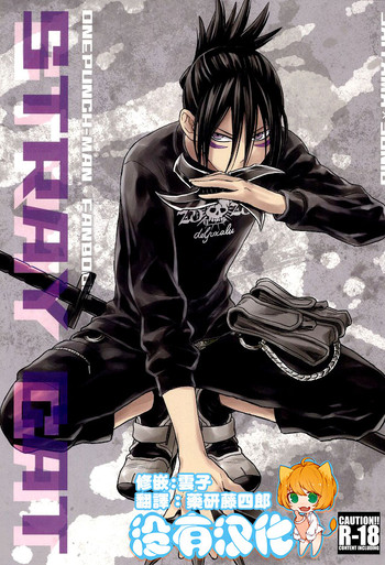 (C86) [リシアム (ユキマル)] stray cat (ワンパンマン) [中国翻訳]