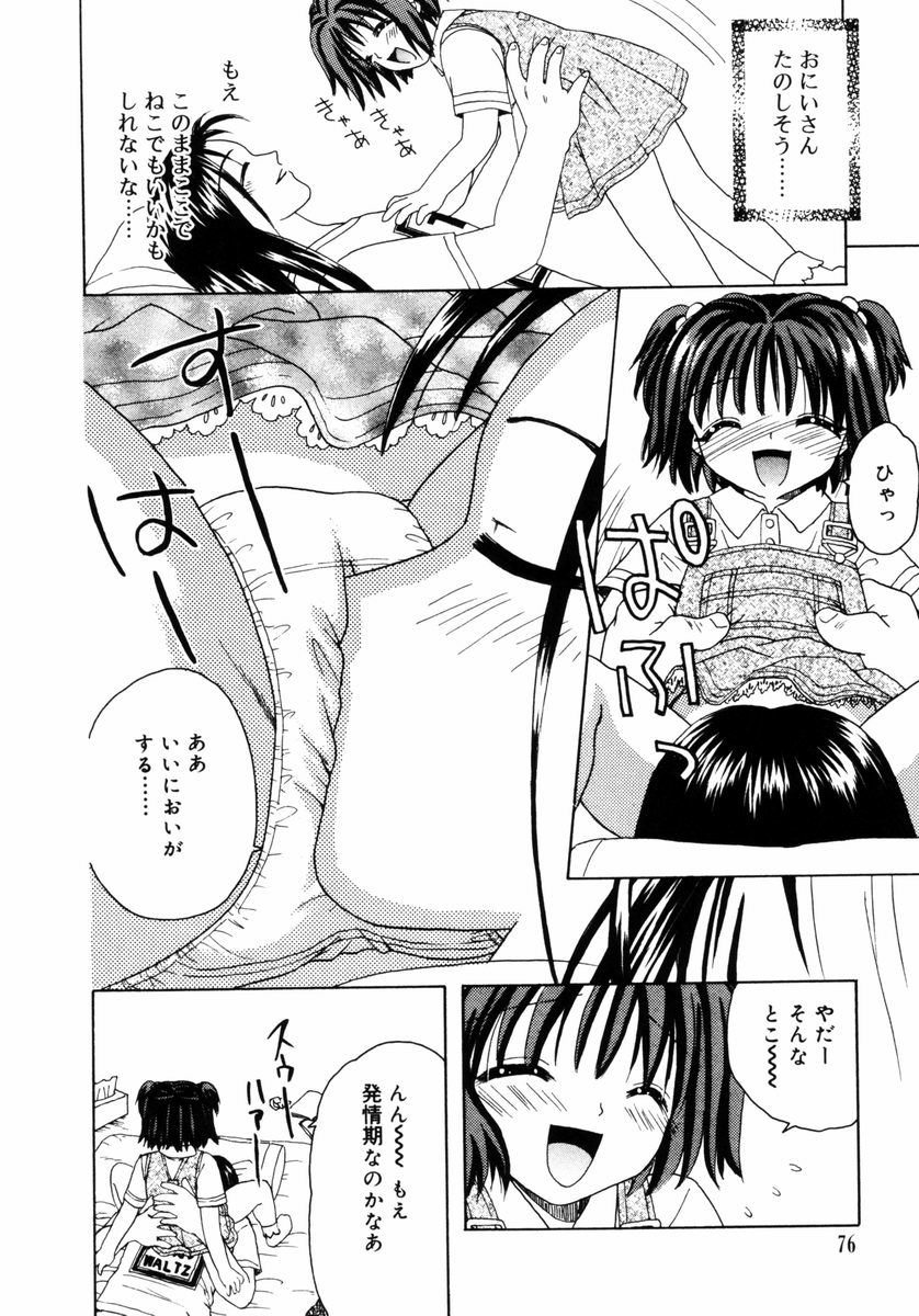 [あざみ野圭二] ハチミツ入りのひみつ