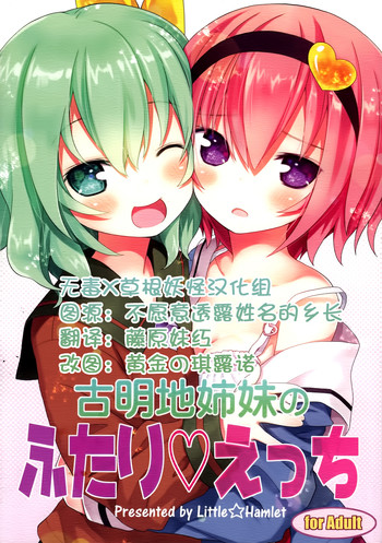 (C89) [りとる☆はむれっと (きぃら～☆)] 古明地姉妹のふたり♡えっち (東方Project) [中国翻訳]