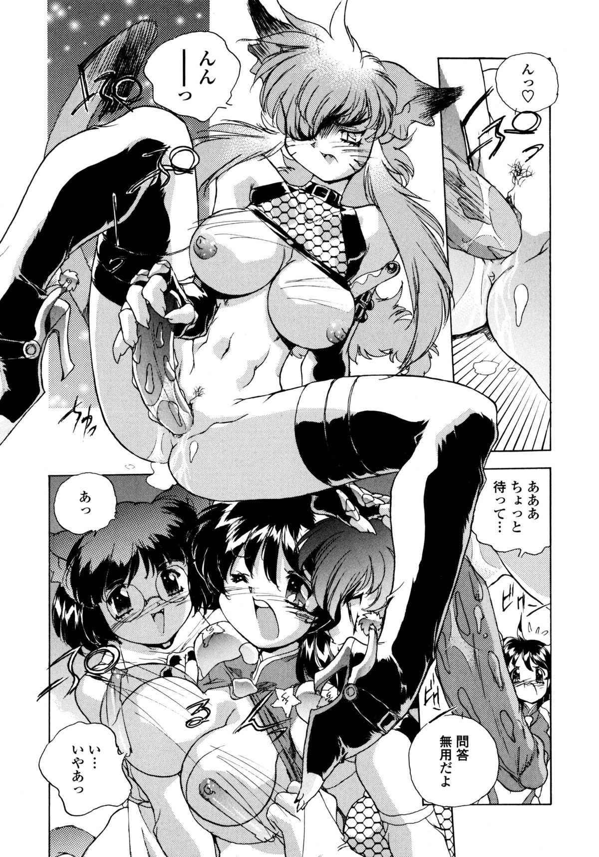 [はりけんはんな] ワイルドキャットパイレーツ