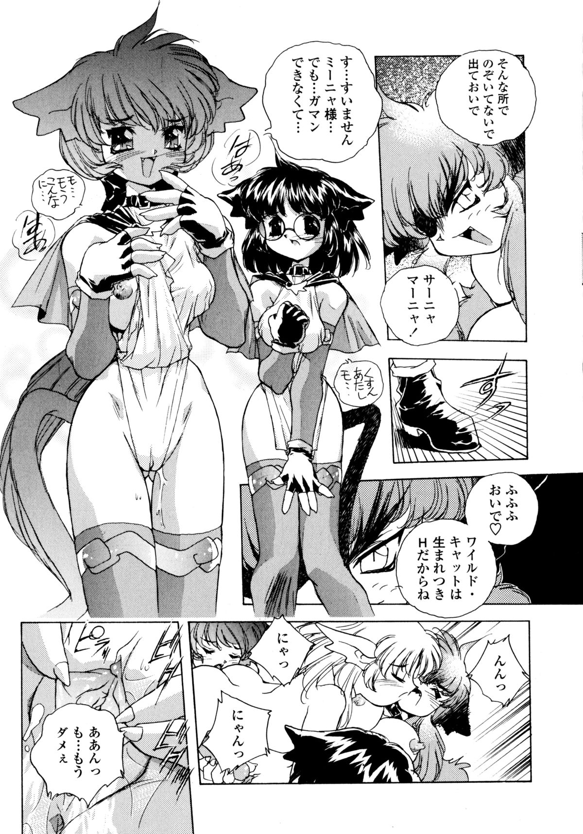 [はりけんはんな] ワイルドキャットパイレーツ