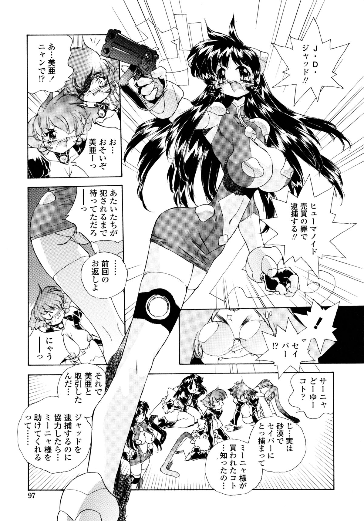 [はりけんはんな] ワイルドキャットパイレーツ