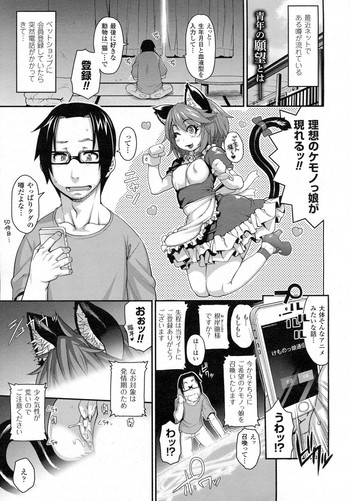 [jun]けものむすめコミュニケーション〜猫娘近く〜〜