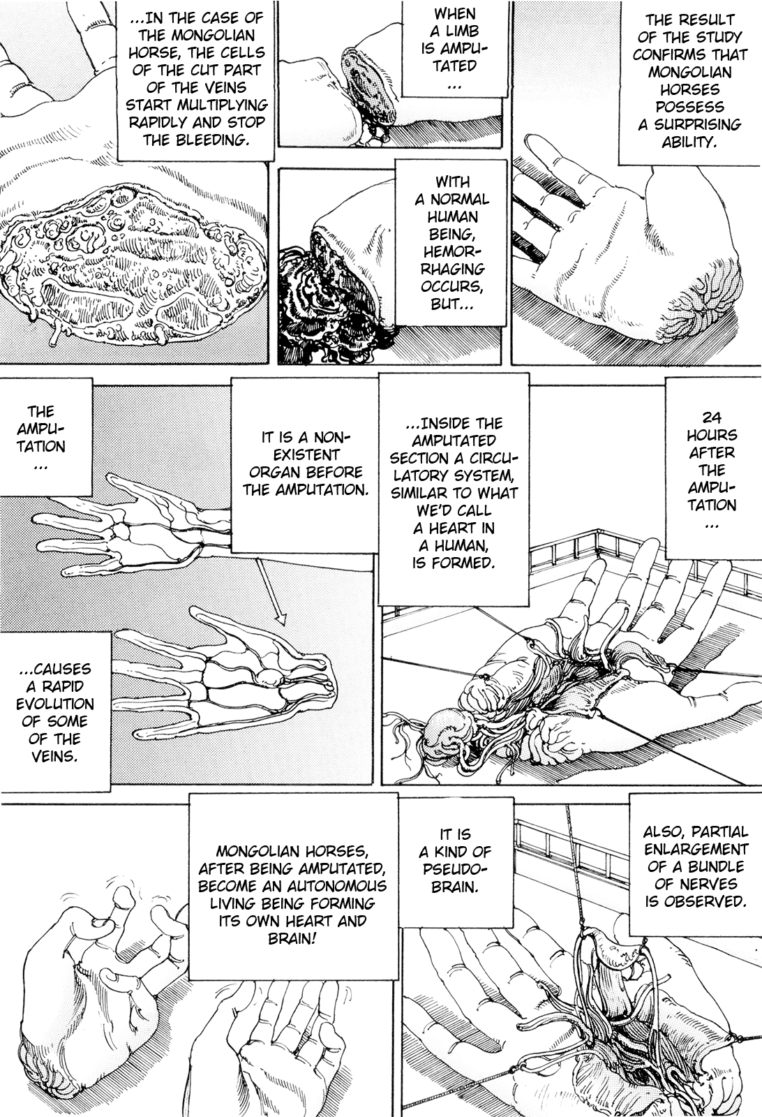 [駕籠真太郎] 超動力蒙古大襲来 [英訳]