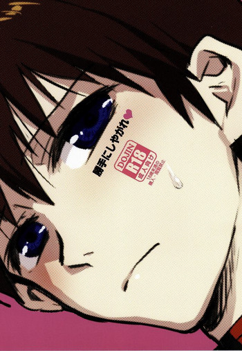 (君との連弾OSAKA2) [やら内科 (中村キュー)] 勝手にしやがれ (新世紀エヴァンゲリオン)