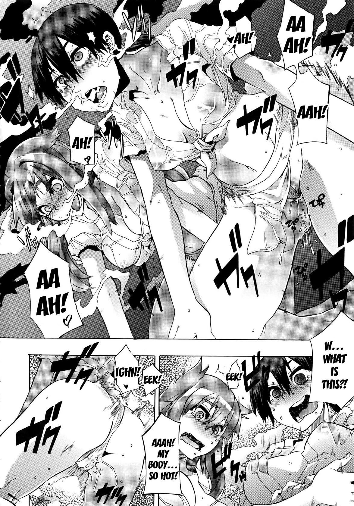 新堂文化人類学[eng]