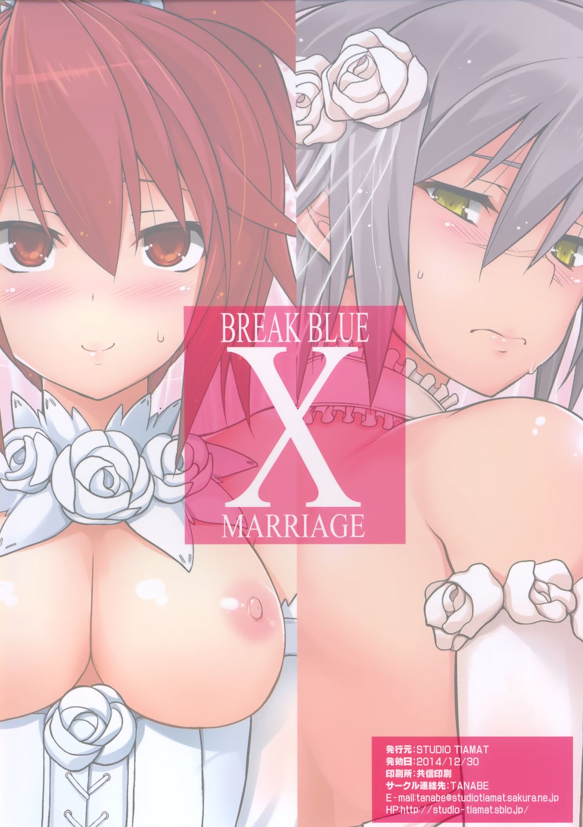 (C87) [STUDIO TIAMAT (TANABE)] BREAK BLUE X MARRIAGE (ブレイブルー)