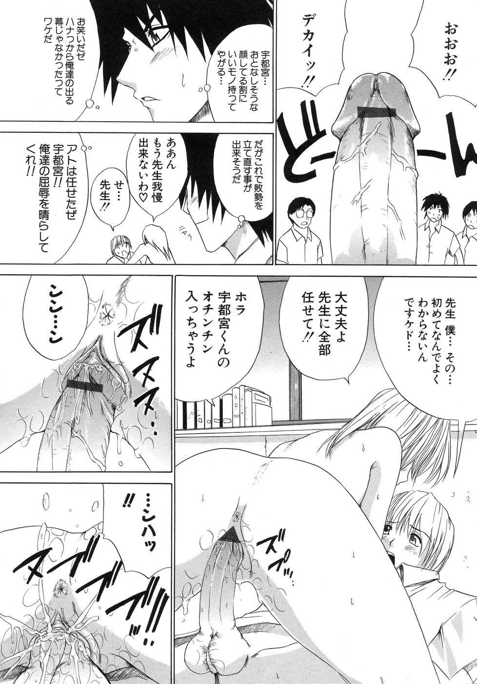 [天宮耀] 青葉木菟