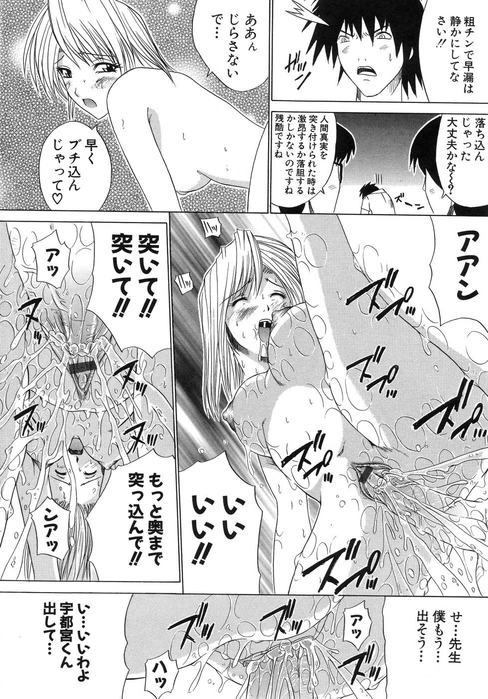 [天宮耀] 青葉木菟