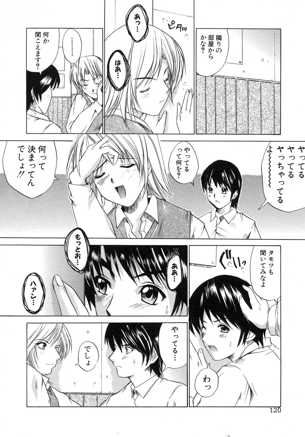 [天宮耀] 青葉木菟