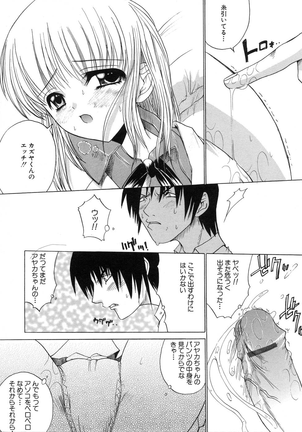 [天宮耀] 青葉木菟