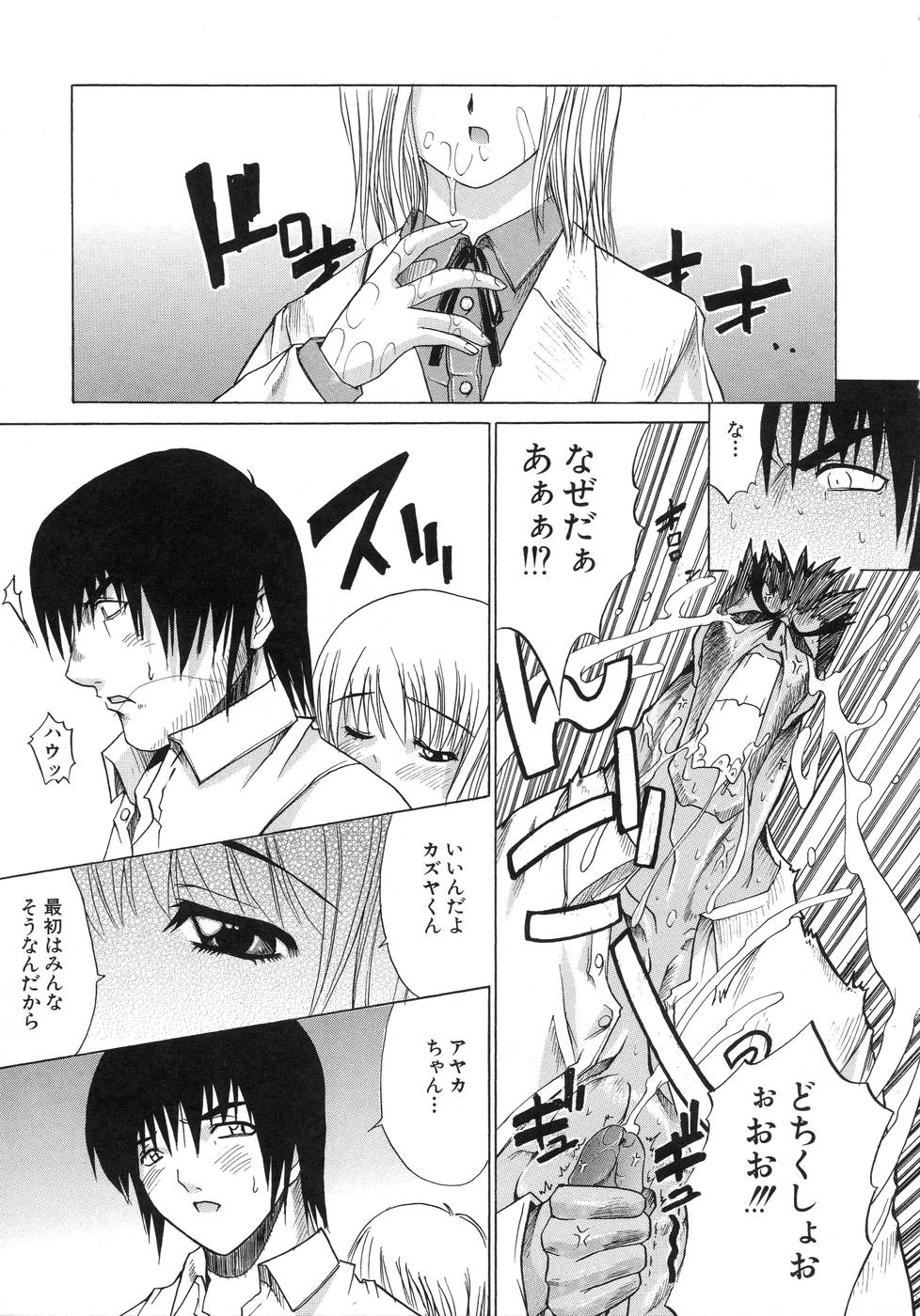 [天宮耀] 青葉木菟