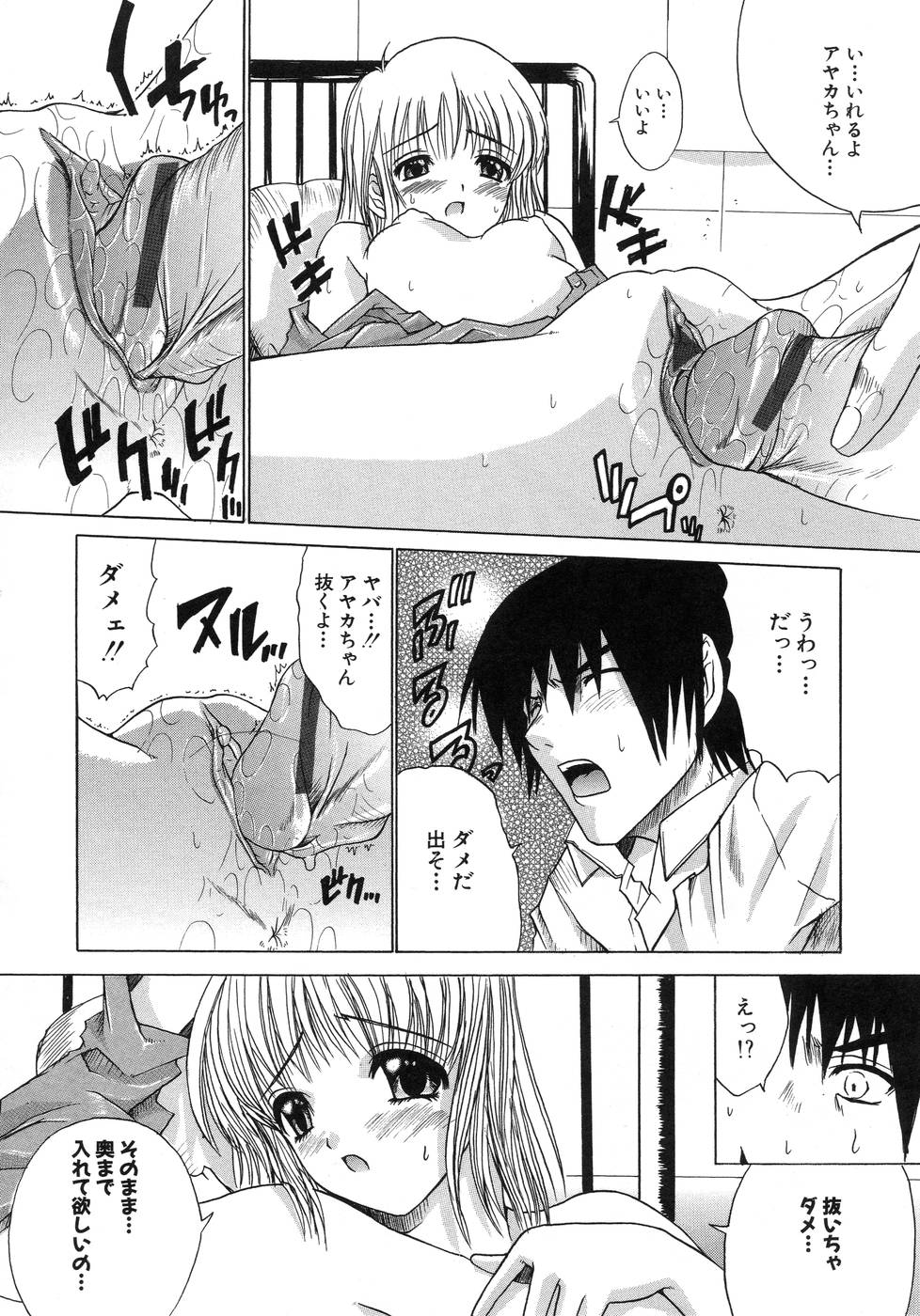 [天宮耀] 青葉木菟