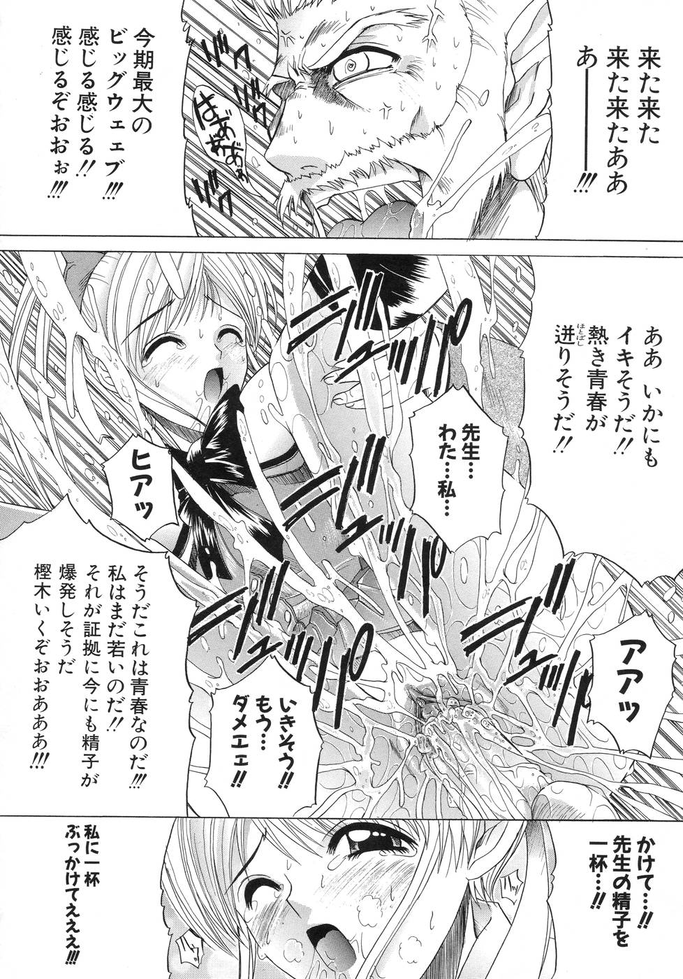 [天宮耀] 青葉木菟