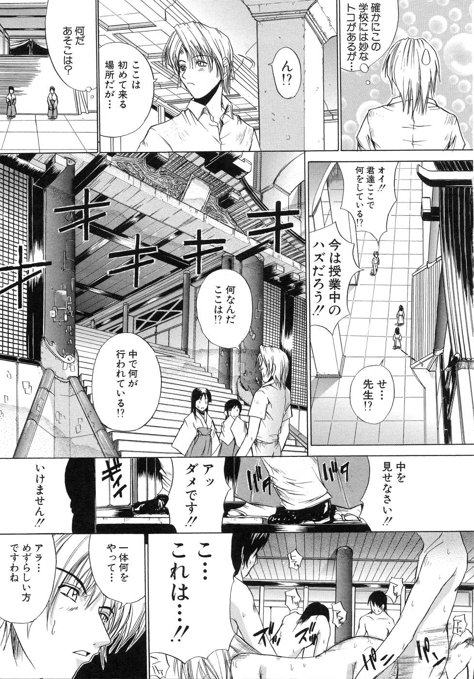 [天宮耀] 青葉木菟