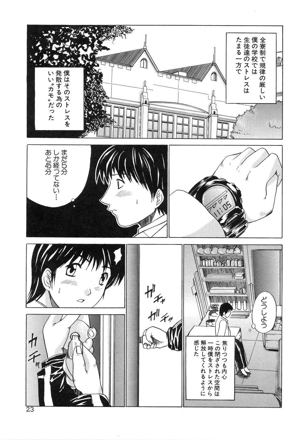 [天宮耀] 青葉木菟