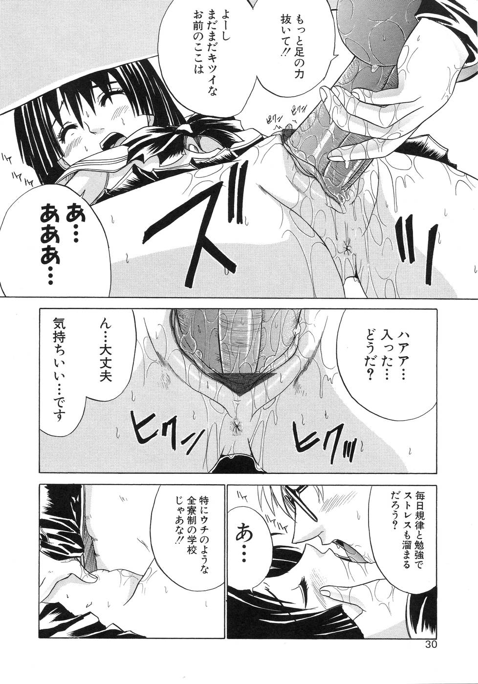 [天宮耀] 青葉木菟