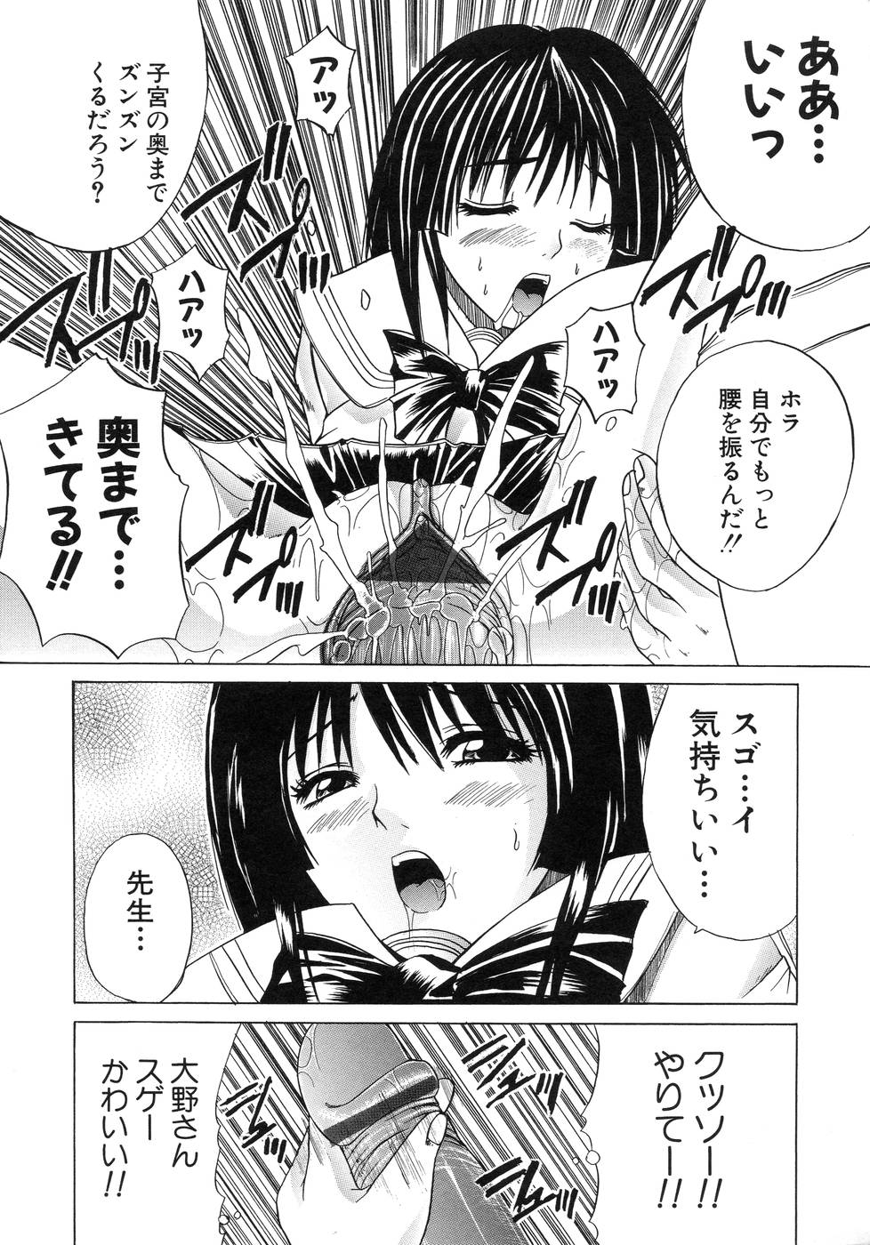 [天宮耀] 青葉木菟