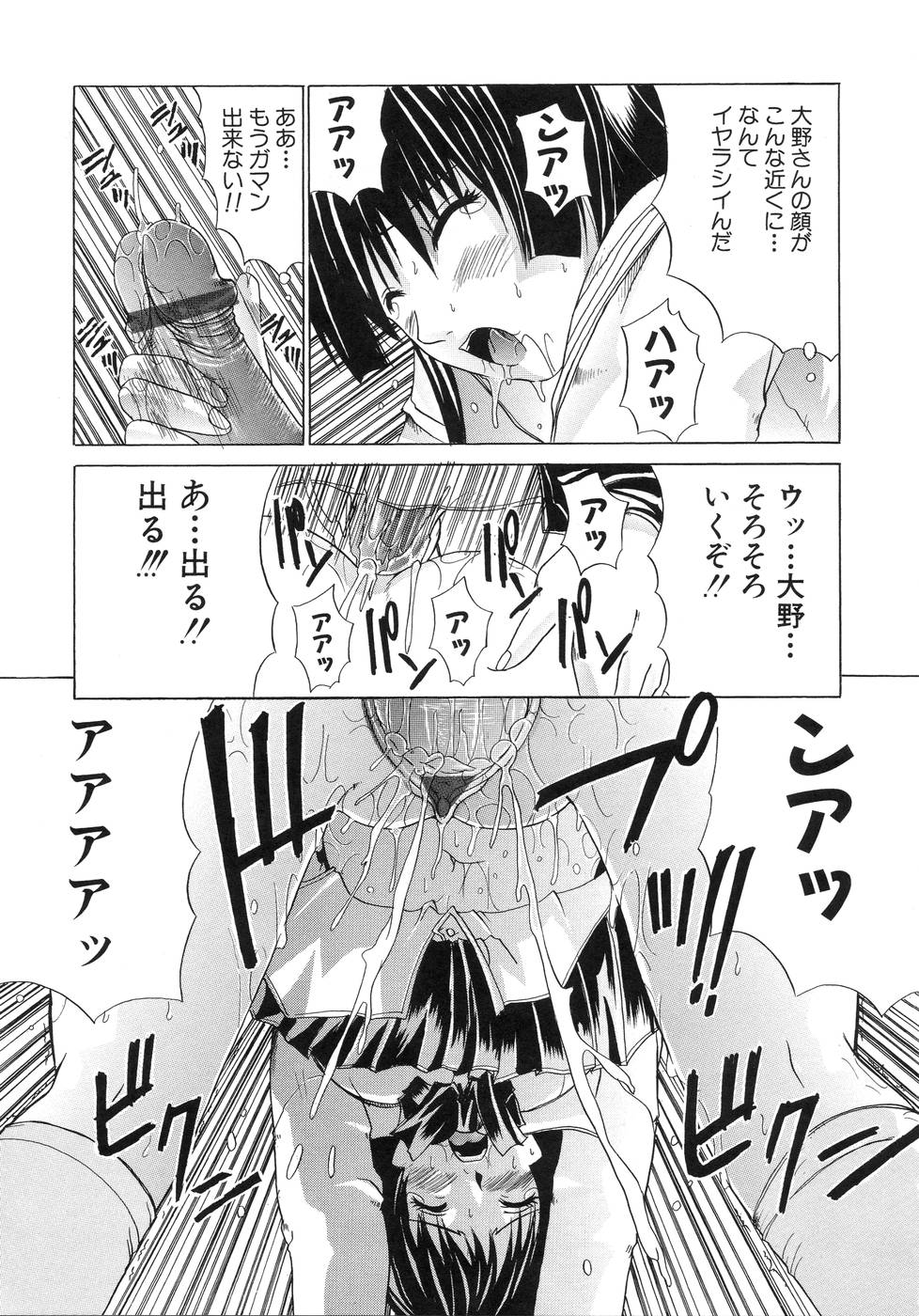 [天宮耀] 青葉木菟