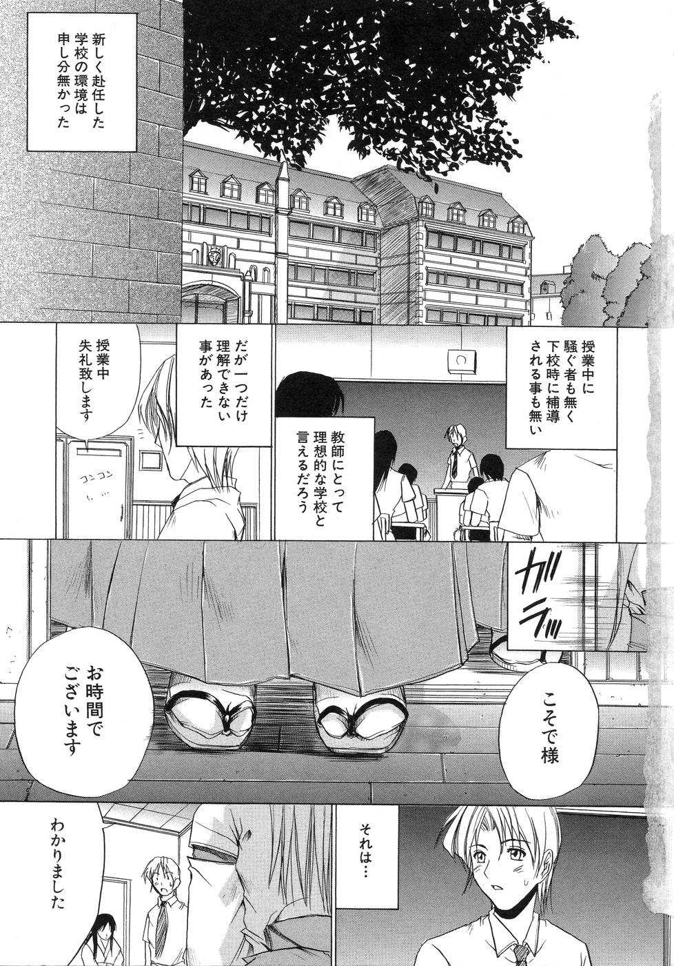 [天宮耀] 青葉木菟