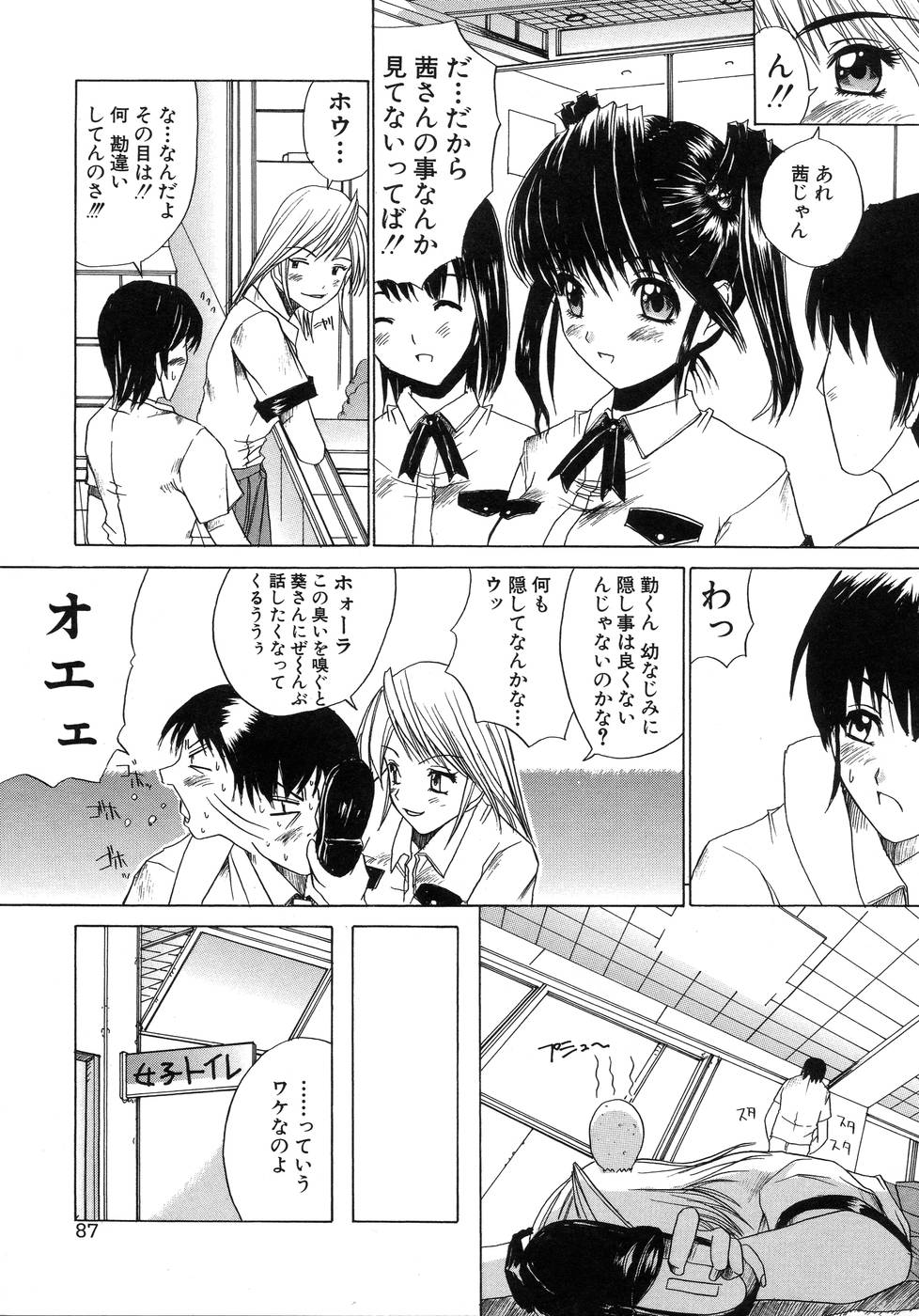 [天宮耀] 青葉木菟