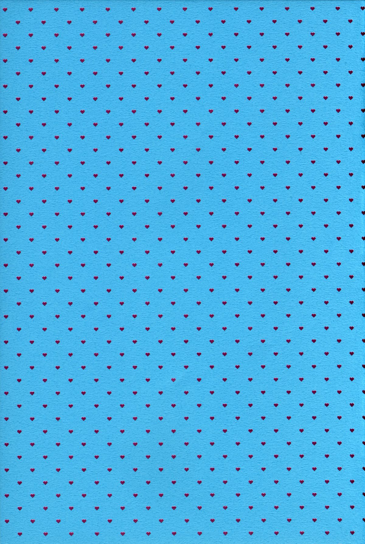 (C88) [チームキハラ (もじゃりん)] OH!MY!CYAN! (SHOW BY ROCK!!) [英訳]