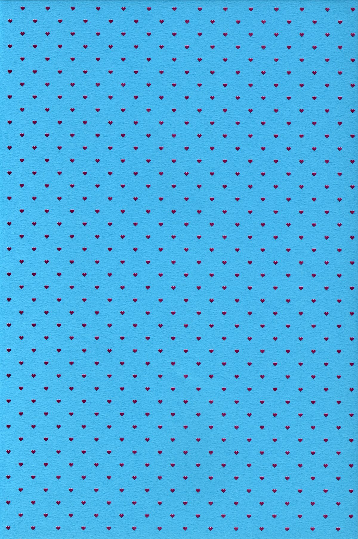 (C88) [チームキハラ (もじゃりん)] OH!MY!CYAN! (SHOW BY ROCK!!) [英訳]